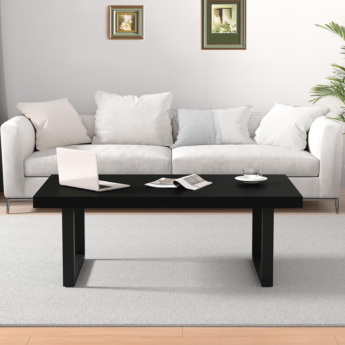 Product view